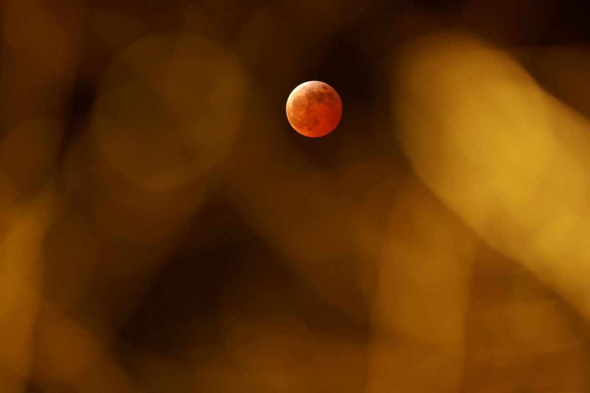 Rugpjūtis 2026: iššūkiai ir galimybės Vėžiams, Skorpionams ir Žuvims